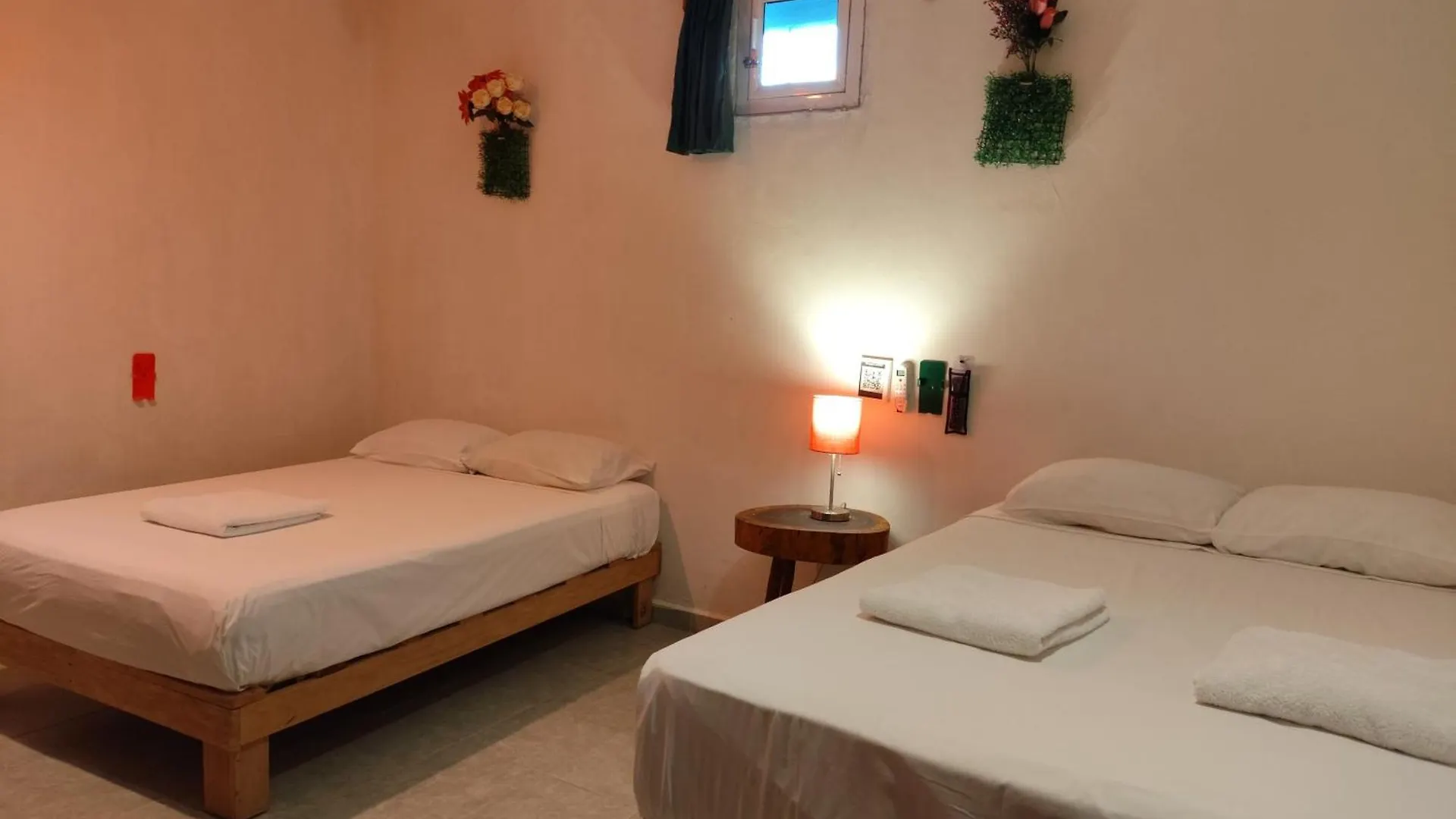 Séjour chez l'habitant Alojamiento Ya'Ax Nah Playa del Carmen
